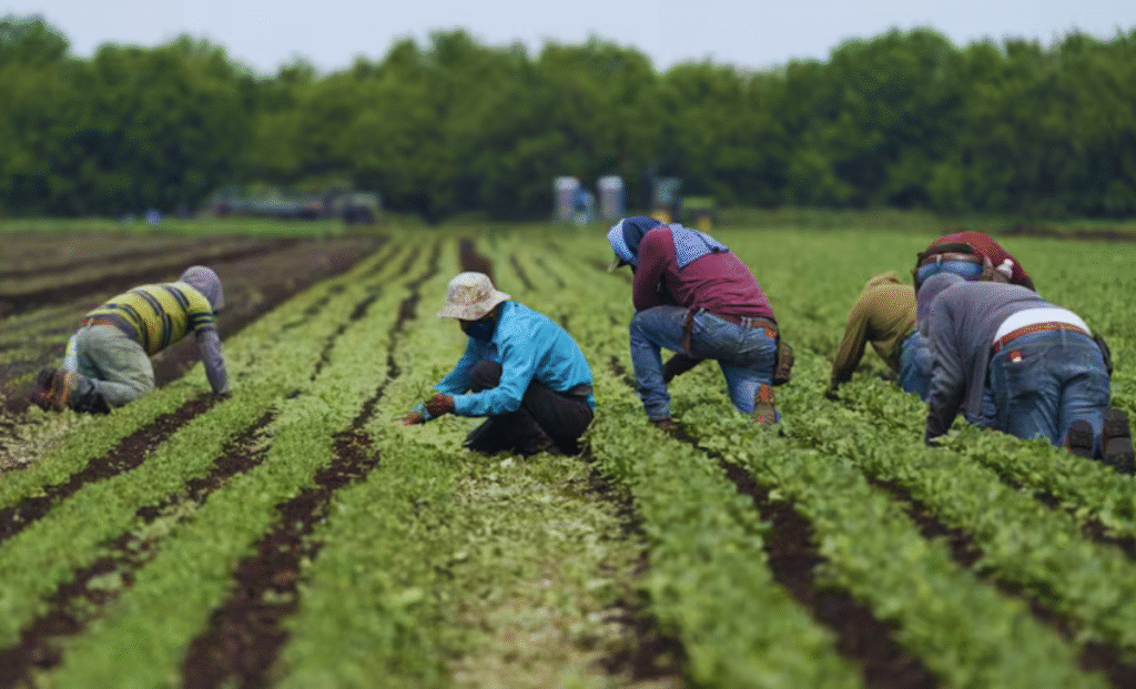 Temporary Foreign Worker Jobs in France with Visa Sponsorship 2025