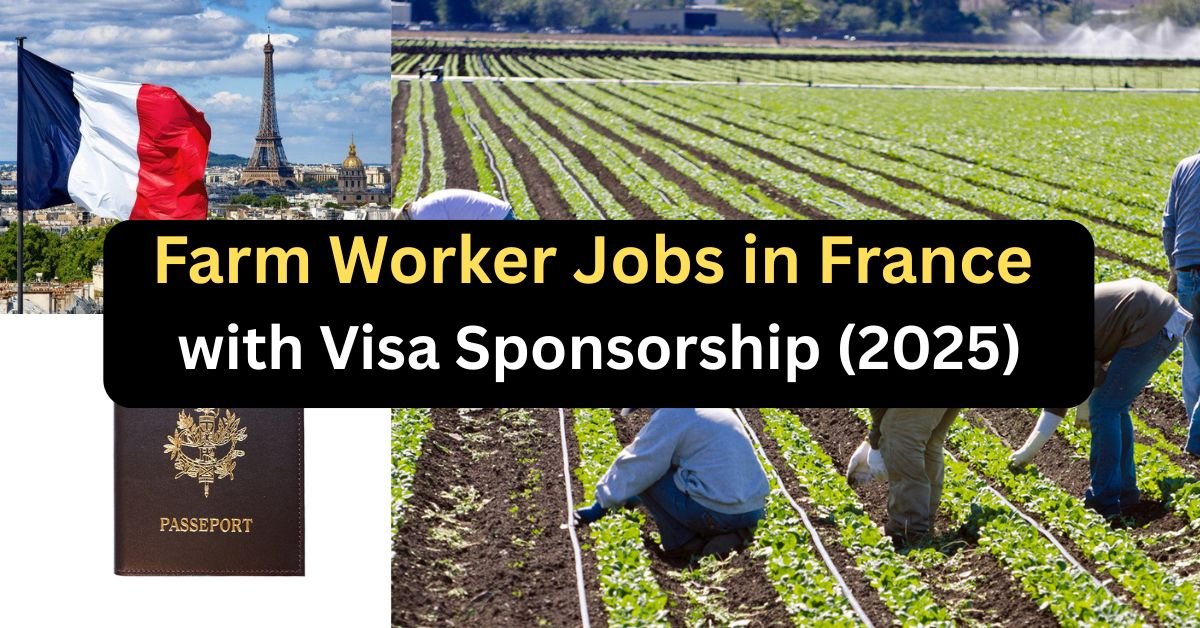 Farm Worker Jobs in France with Visa Sponsorship (2025)