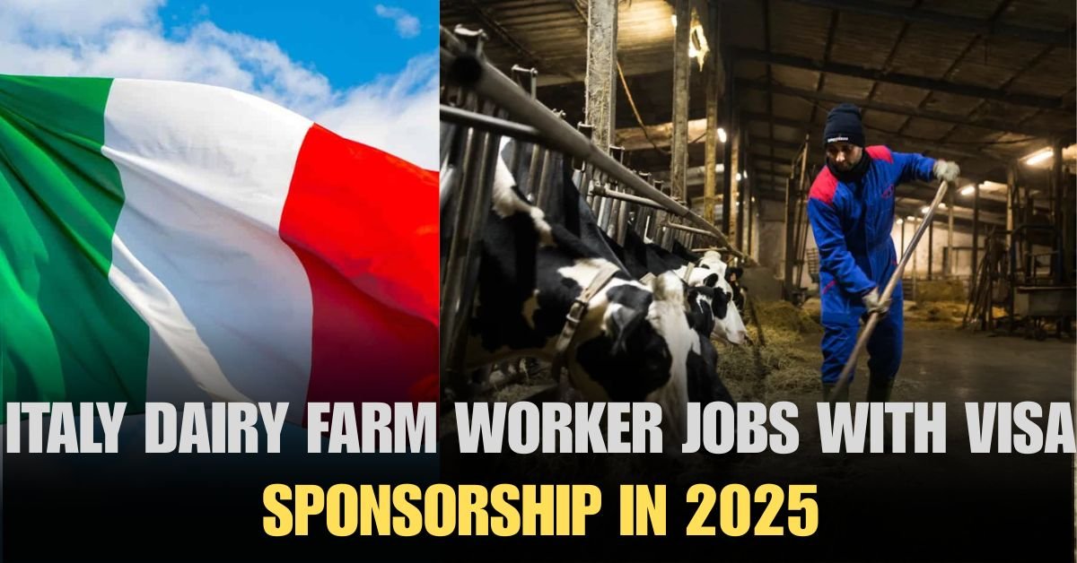 Dairy Farm Worker Jobs In Italy With Visa Sponsorship 2025
