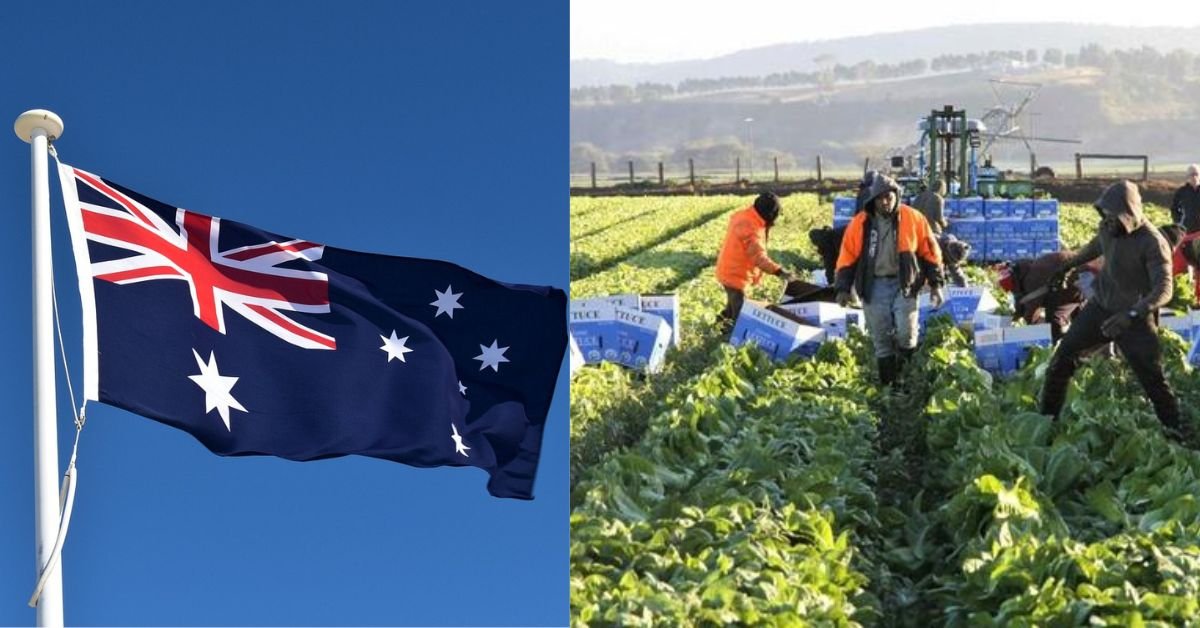 Entry-Level Jobs For International Workers