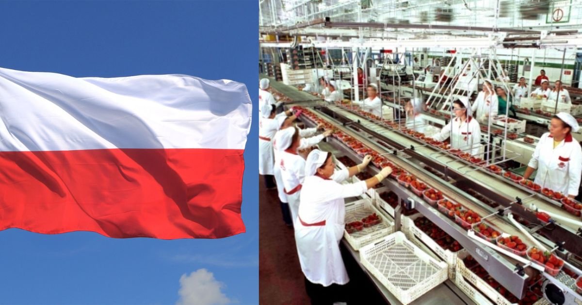 How to Work in Poland’s Food Processing Sector
