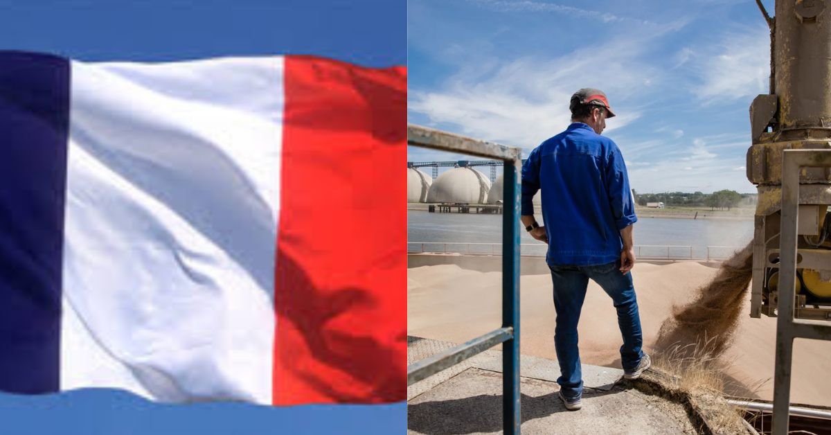 Easy-to-Apply Jobs in France for International Workers 