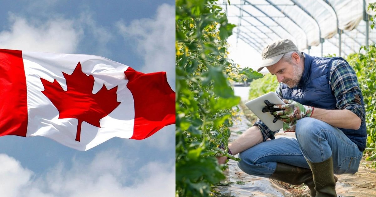 Canada Agriculture Pilot Program 2026: Eligibility and Job Search