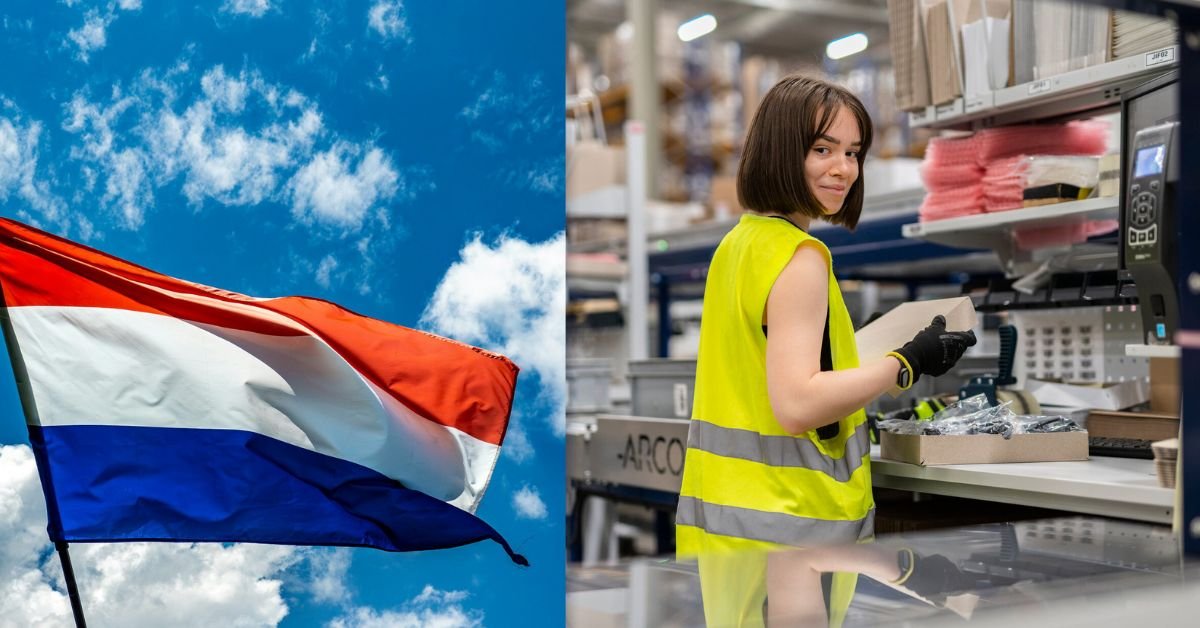 Netherlands Highly Skilled Migrant Visa 2026: Salary Scales & Compliance